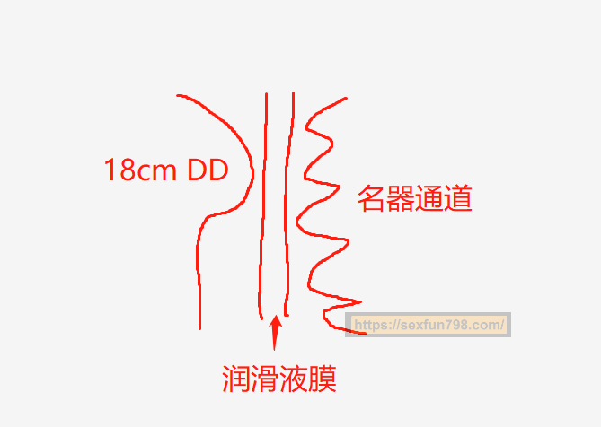 你真的会用润滑液吗？ | 3元到100元，5款润滑油测评大揭秘 - 评测网