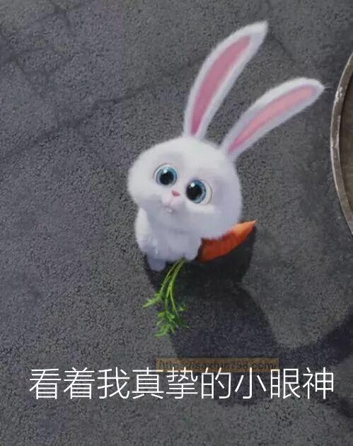 EXE奶瓶1代飞机杯刺激版评测 - 评测网