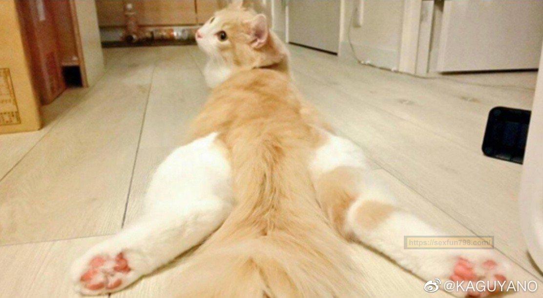 国产kaguyano千岛酱飞机杯名器评测 - 还有COS福利