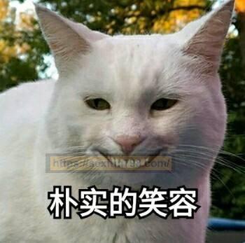 对子哈特 工口姐姐二代飞机杯名器评测 - 大姐姐的深夜诱惑 - 评测网