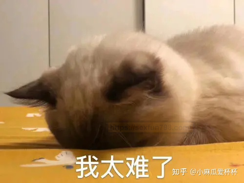 飞机杯怎么清洗兄弟们?3 飞机杯怎么清洗兄弟们?