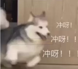 在连续用了8款电动斐济杯后，我下单了”肾宝王” - 评测网