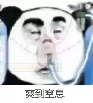 机车萌娘：揭开酷酷机车女誏的神秘面纱 - 评测网