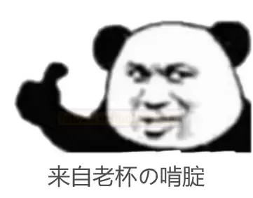 老杯新品评测：水着加奈子初体验！ - 评测网
