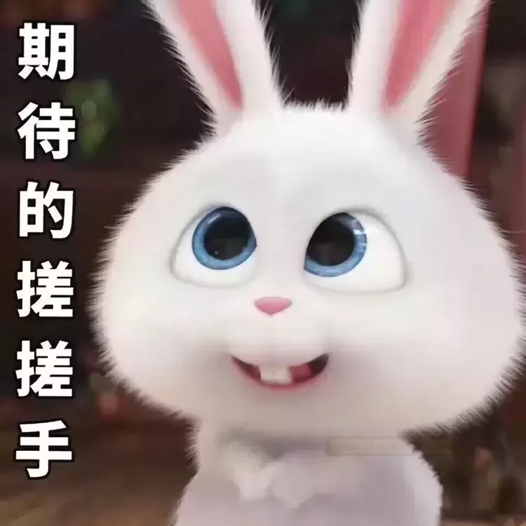 捧在手心里的柔软——杯多多棉花糖 - 评测网