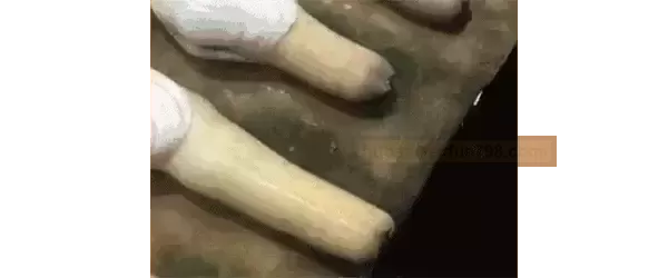 宝剑过于孱弱？自测+改善方案，速看！ - 评测网