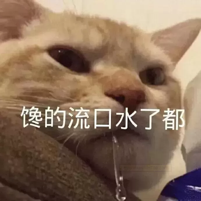 体验骑乘乐趣，解锁不一样的知识——tamatoys骑乘之tun测评 - 评测网