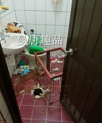 女租客留满屋垃圾…还有拳头大的按摩棒!房东苦笑:PRO级的