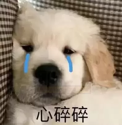 多年习武之人上来就被秒了？美骨柔姬真有这么强？ - 评测网
