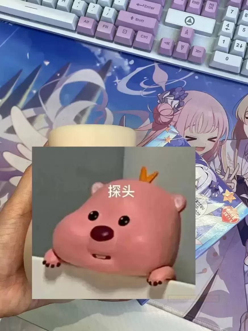 掌中小翘屯,带你探索未知的乐趣