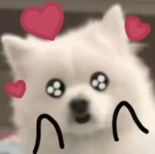 你看看,这就是老戏骨!