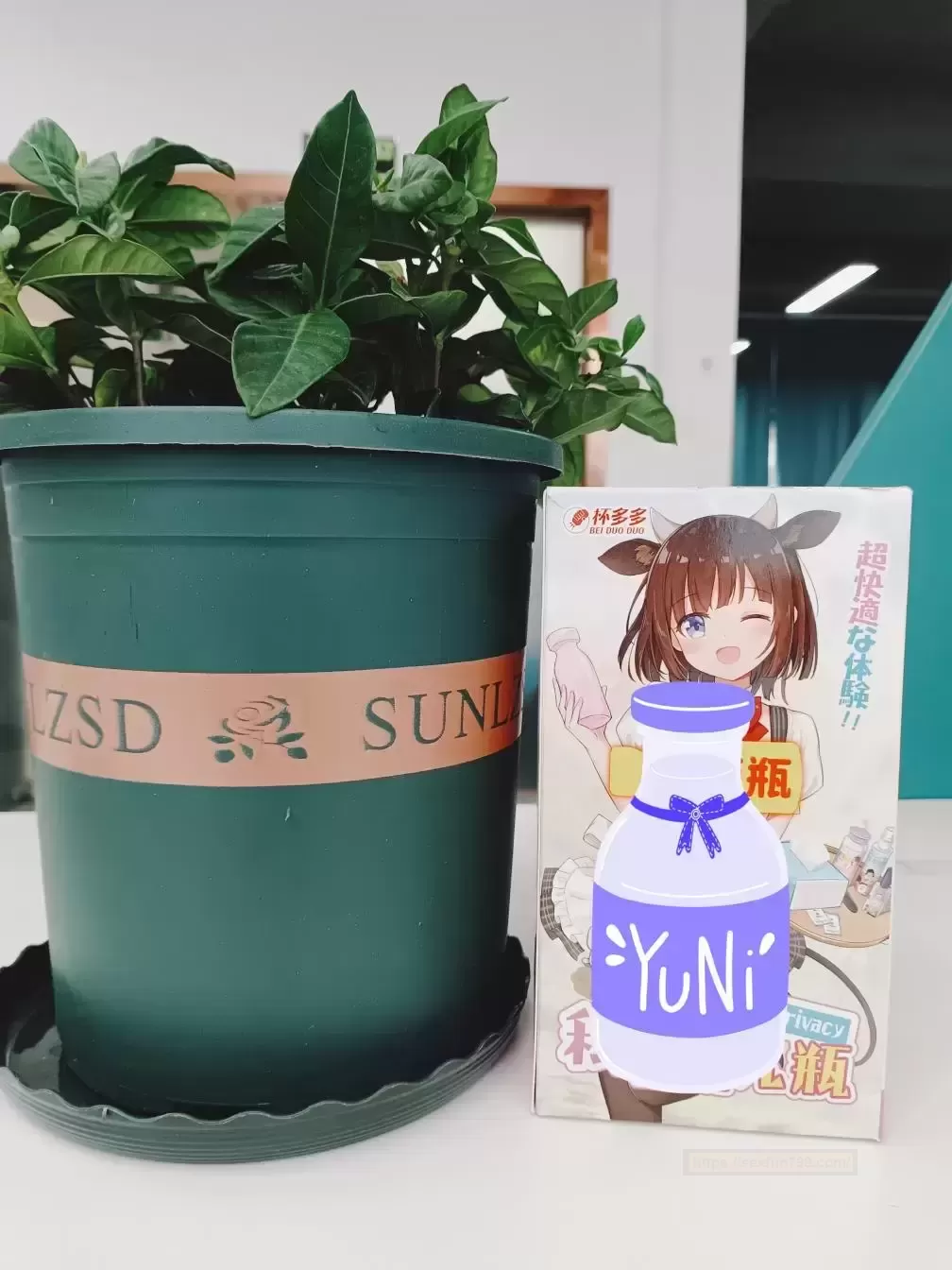 你有多久没锻炼了?赶紧用上锻炼神器—“小萌瓶”进修吧