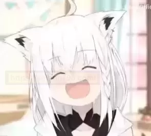 百元出头的圣杯怎么选？彼女姐姐给你答案！