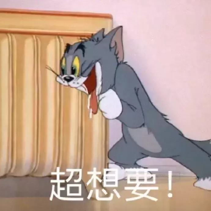 杯多多小萌屯:掌心上的小精灵,新手的理想伙伴