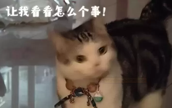 电动揭的天花板？崩萌纵腰精灵参上！