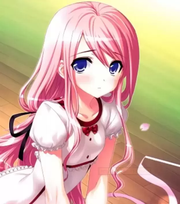 萌新入门买哪家?遇事不决找彼女姐姐呀!