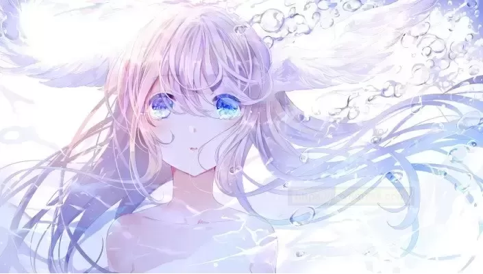 斐济杯名器评测：揭开吸吸酱二代的针实体验