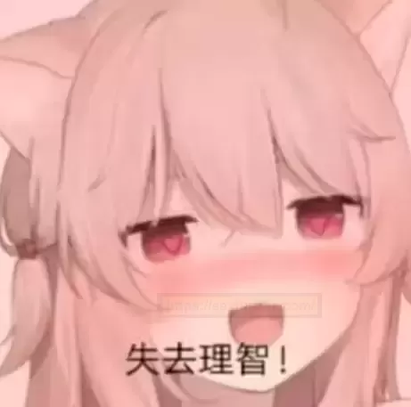 萌新入门买哪家?遇事不决找彼女姐姐呀!