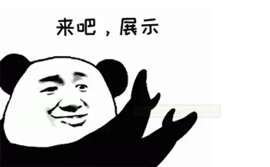 杯多多小萌屯：掌心上的小精灵，新手的理想伙伴