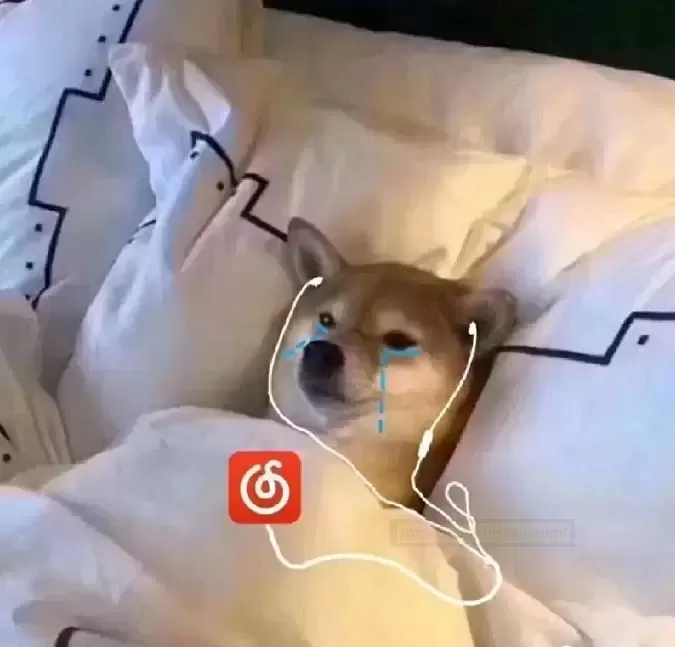 米杯X告诉你科技在进步，解决需求的方式更应进步！