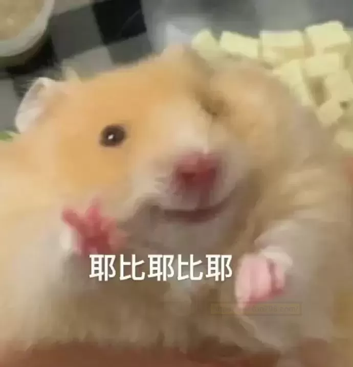 “掌心精灵”迷你杯子大揭秘!