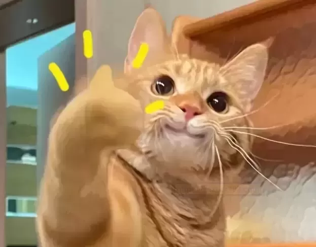 你的私人“多语种”电动伙伴