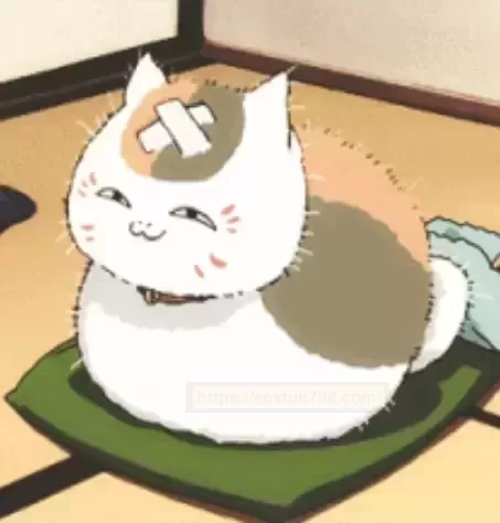 水着加奈子:轻盈手感·大师之作·悦享新奇冒险!