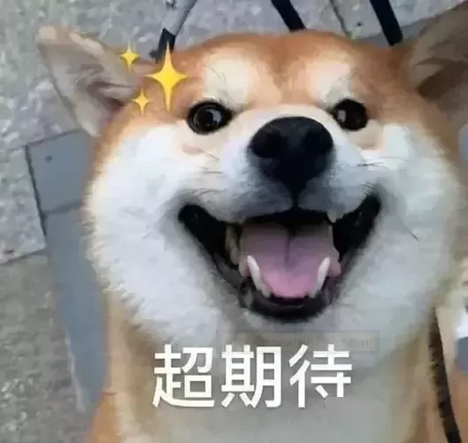 什么玩具连老司机都难以把持——杯多多窄x香奈测评