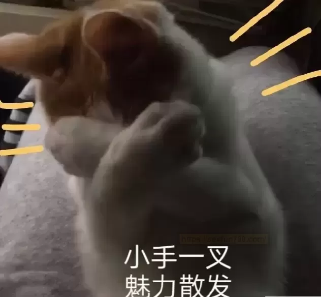 一场居家飞行的奇幻之旅——TMT骑乘之tun测评