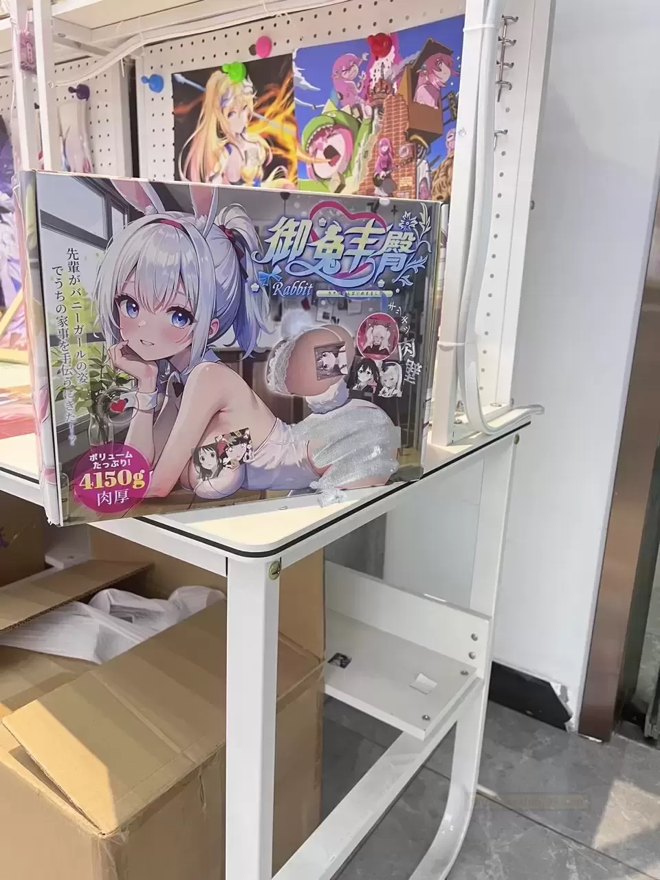 《与“御兔丰tun”的爆笑同居日记：一个宅男的快乐升舱记》