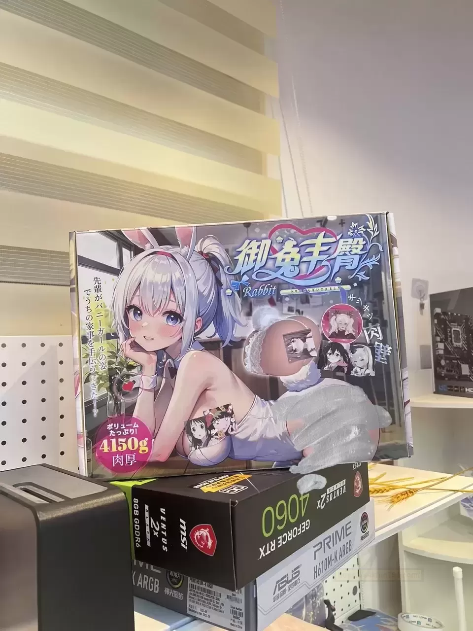 《与“御兔丰臀”的奇妙邂逅:解锁单身生活的趣味新篇章》