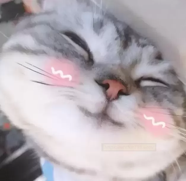 元气蛋娘:口袋解压圣物带你纵情端午