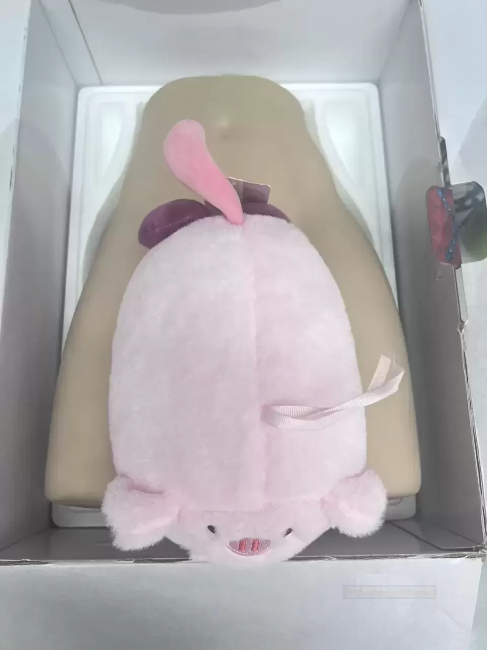 Bonmor吸血姬——那不可描述的“魔法”体验