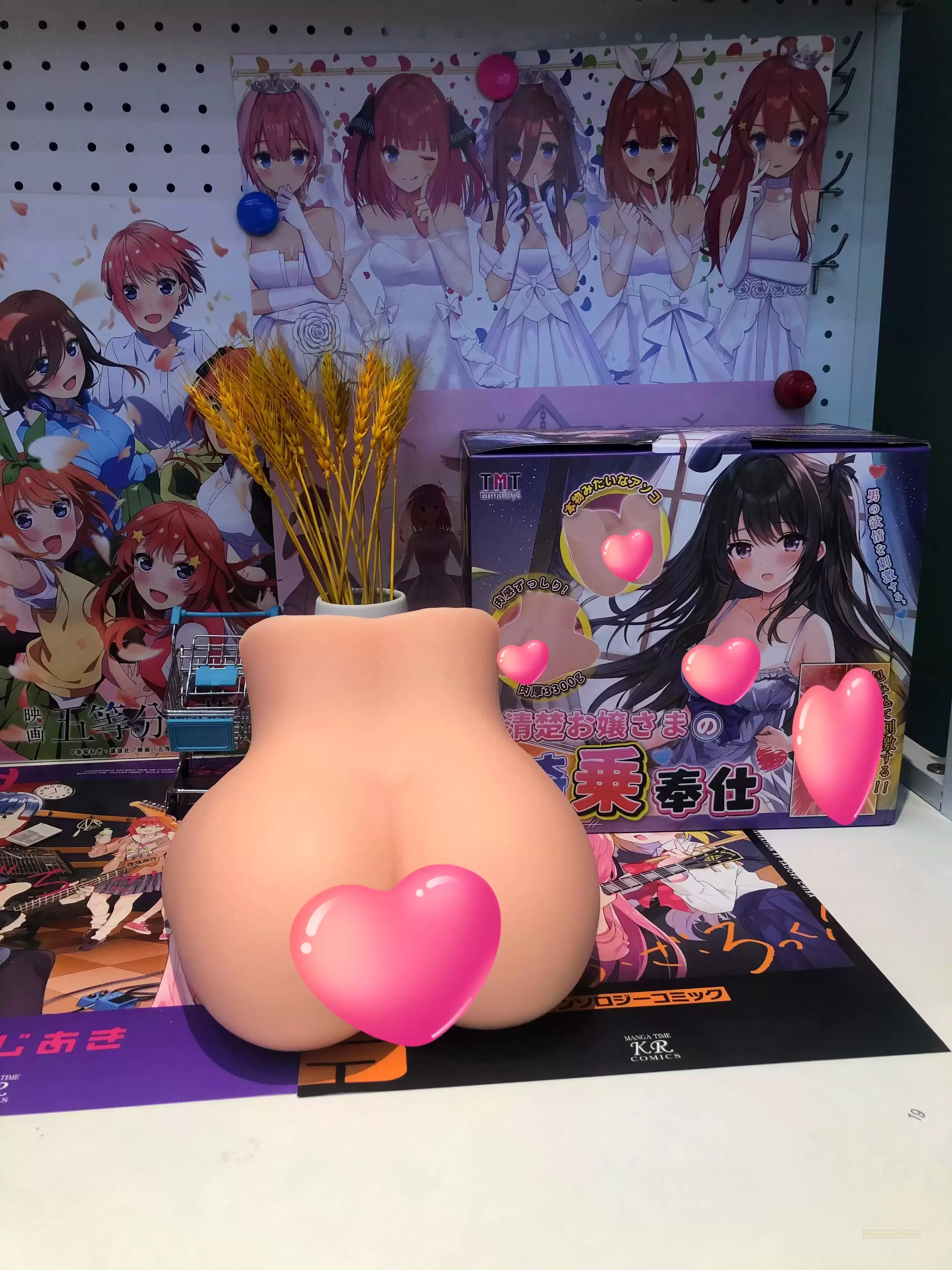 今年收到的特别生日礼物------TMT骑乘之tun斐济杯