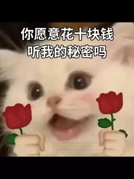 懵懂的我,初尝甜蜜的滋味——圣女软kao