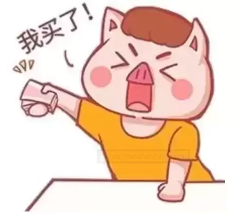 【独家揭秘】魔法导师:慢玩界的新星,萌新进阶的魔法秘籍!