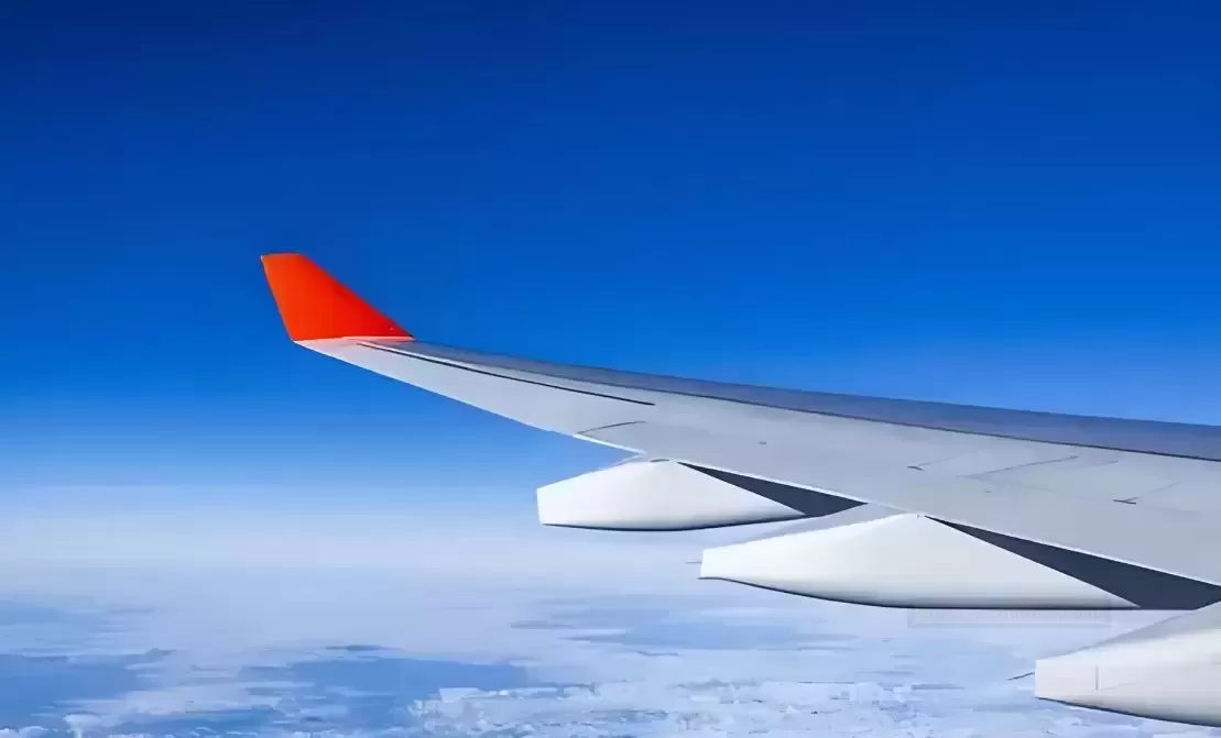 【夏日私享秘籍】“桃色史莱姆娘”——轻巧随行，双享自由新体验！