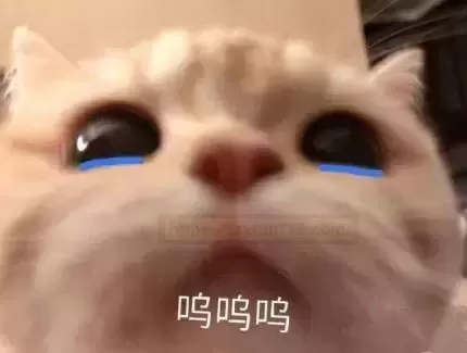 玩转tun膜,这是种什么样的体验?