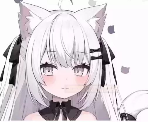 性价比之选,温情彼女的温情邀约