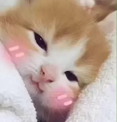 自信新作——来自BONMOR的惊喜,你收到了吗?