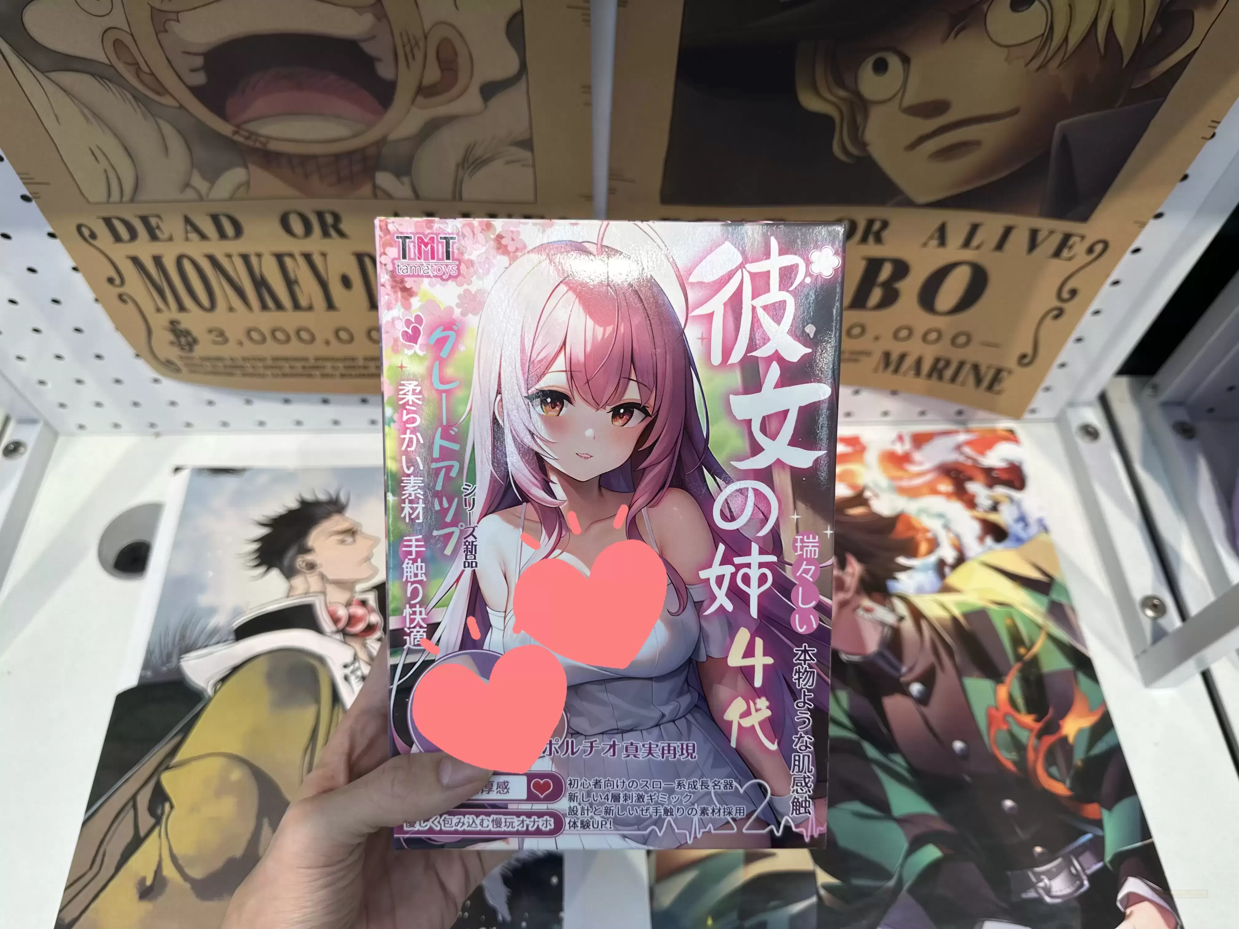 温柔的指引者:彼女姐姐四代全面评测