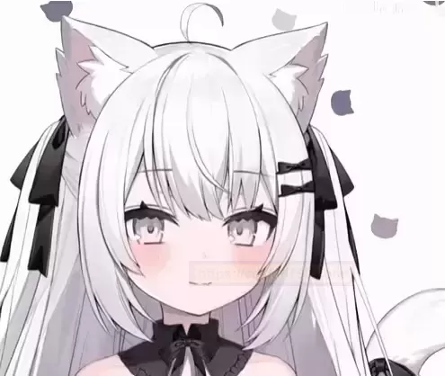 温柔的指引者:彼女姐姐四代全面评测