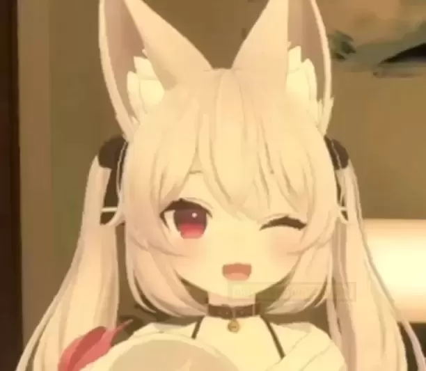 圣杯界新星:杯多多新品庭爱菊奈测评