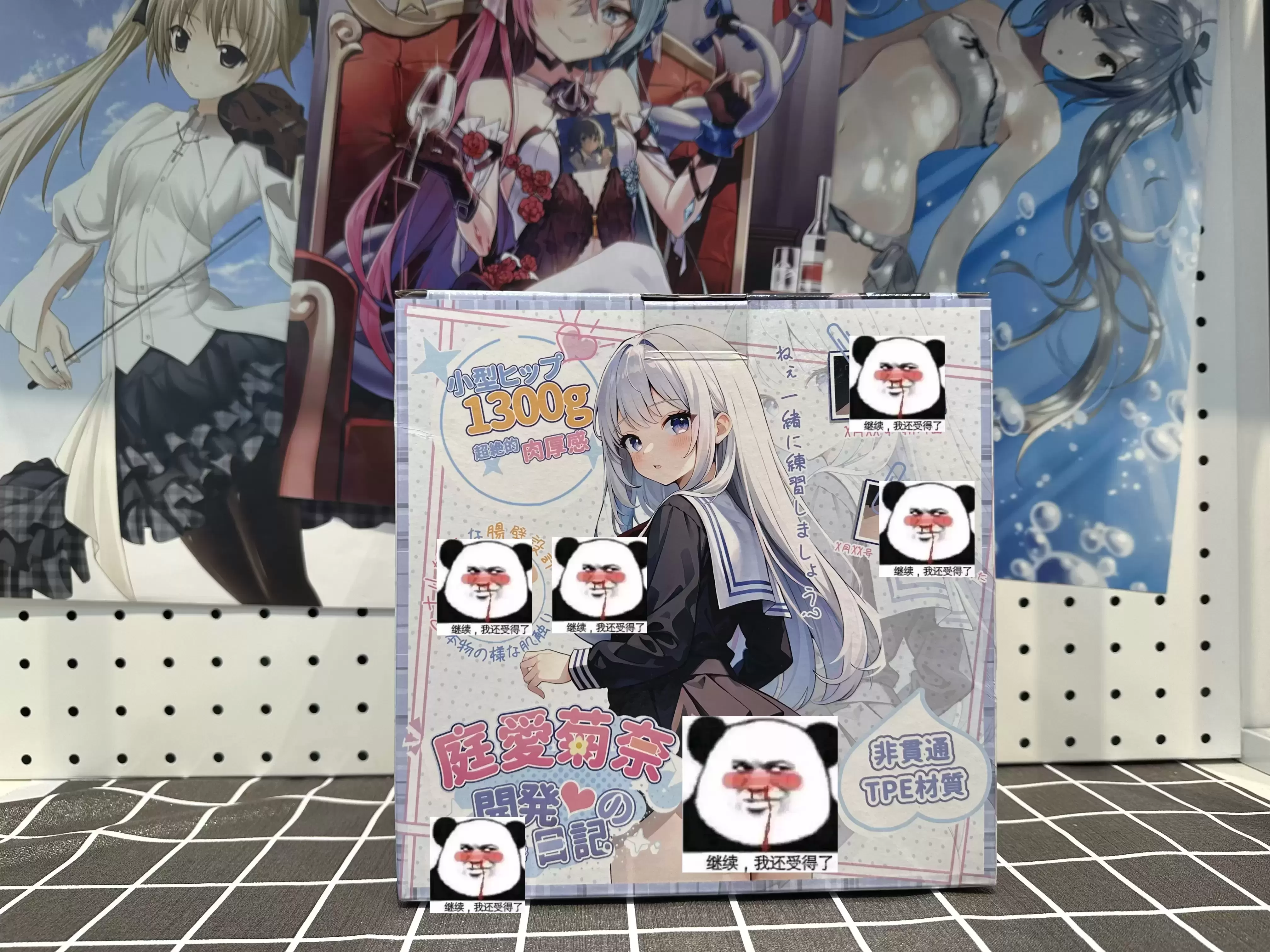 圣杯界新星:杯多多新品庭爱菊奈测评