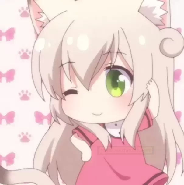 魔法导师:双GK结构带你探索慢玩新领域!