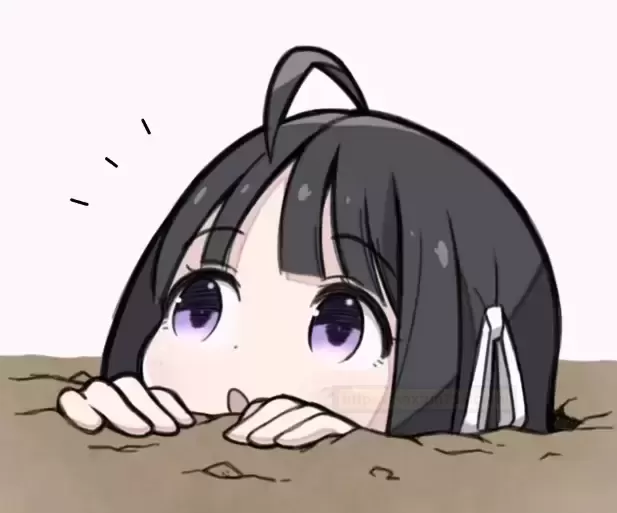 杯多多庭爱菊奈:触动心灵的新品测评