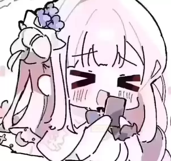 圣杯圈新秀!庭爱菊奈全方位测评报告