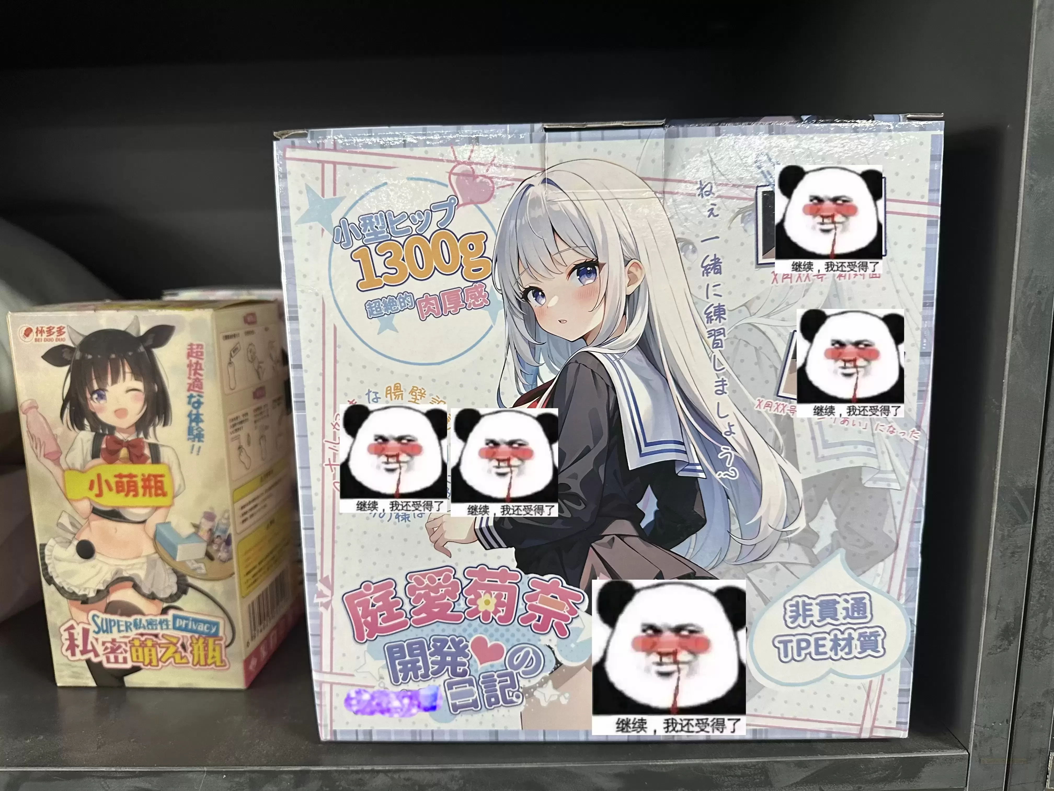 杯多多庭爱菊奈:专注于后赛道的新星!