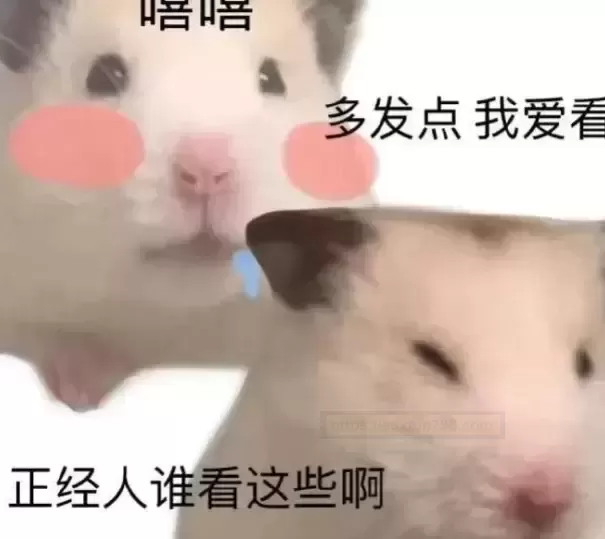 吸血姬体验记：当吸血鬼公主变成大人玩具