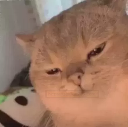 YUU床上玲香:爱上沉浸式体验是什么感觉